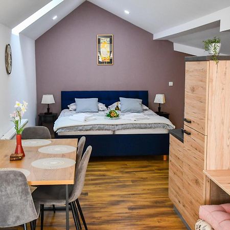 Studio Apartment Oaza Sisak Exterior photo