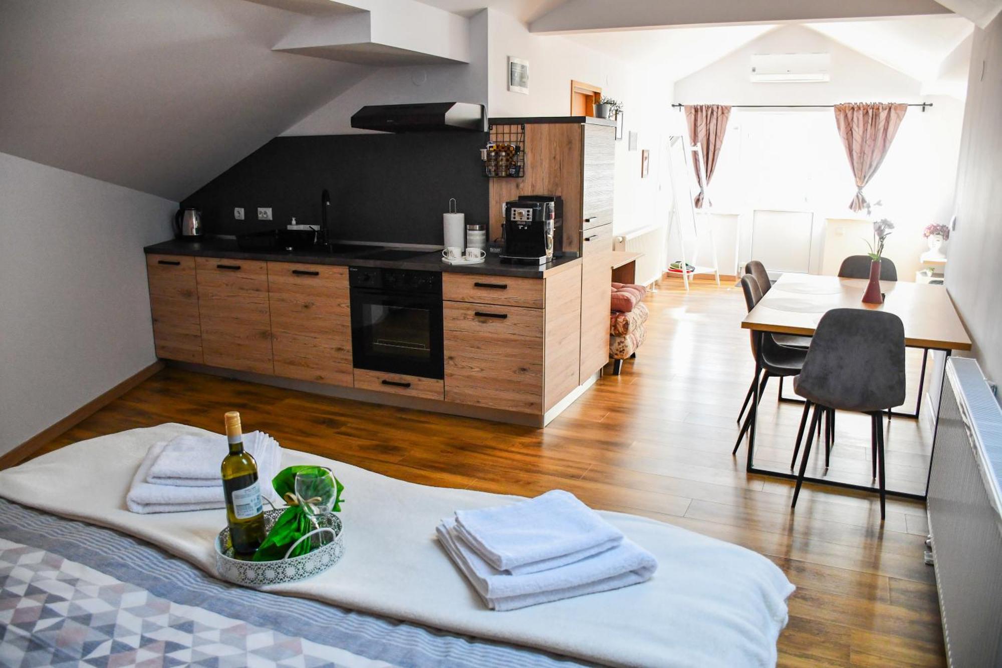 Studio Apartment Oaza Sisak Exterior photo